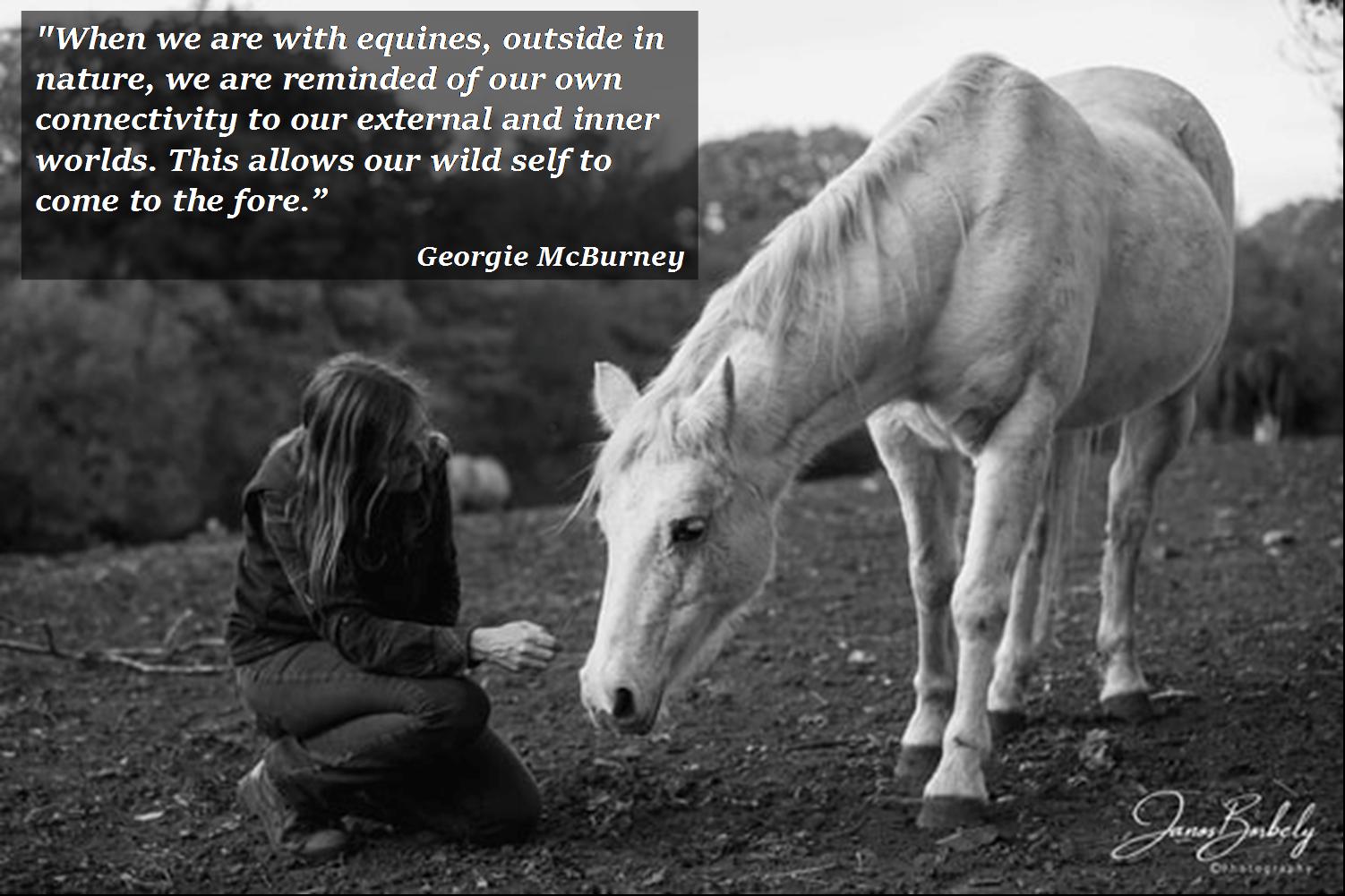 Equine, Counselling, Equine Leadership, Author Interview